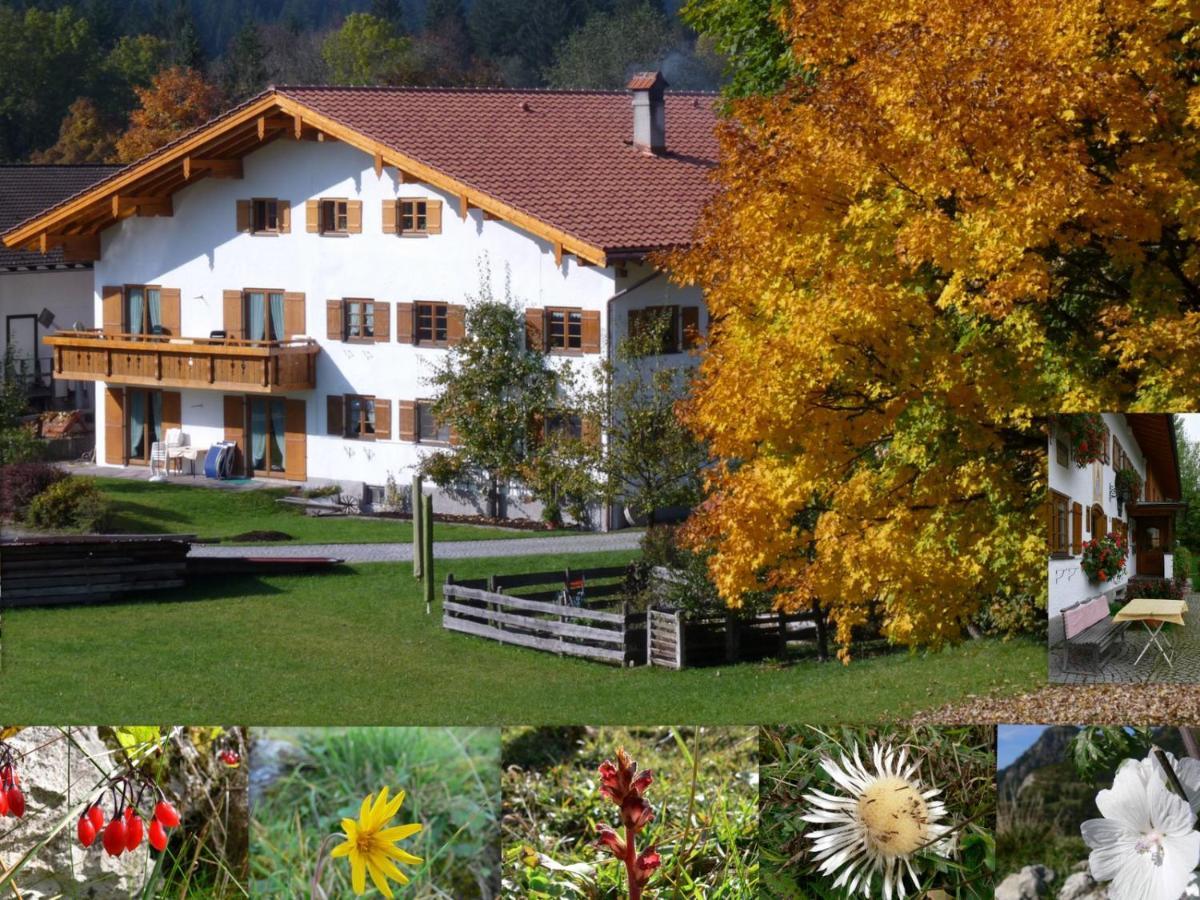 Ferienwohnungen Hennenmuehle Bad Hindelang Esterno foto
